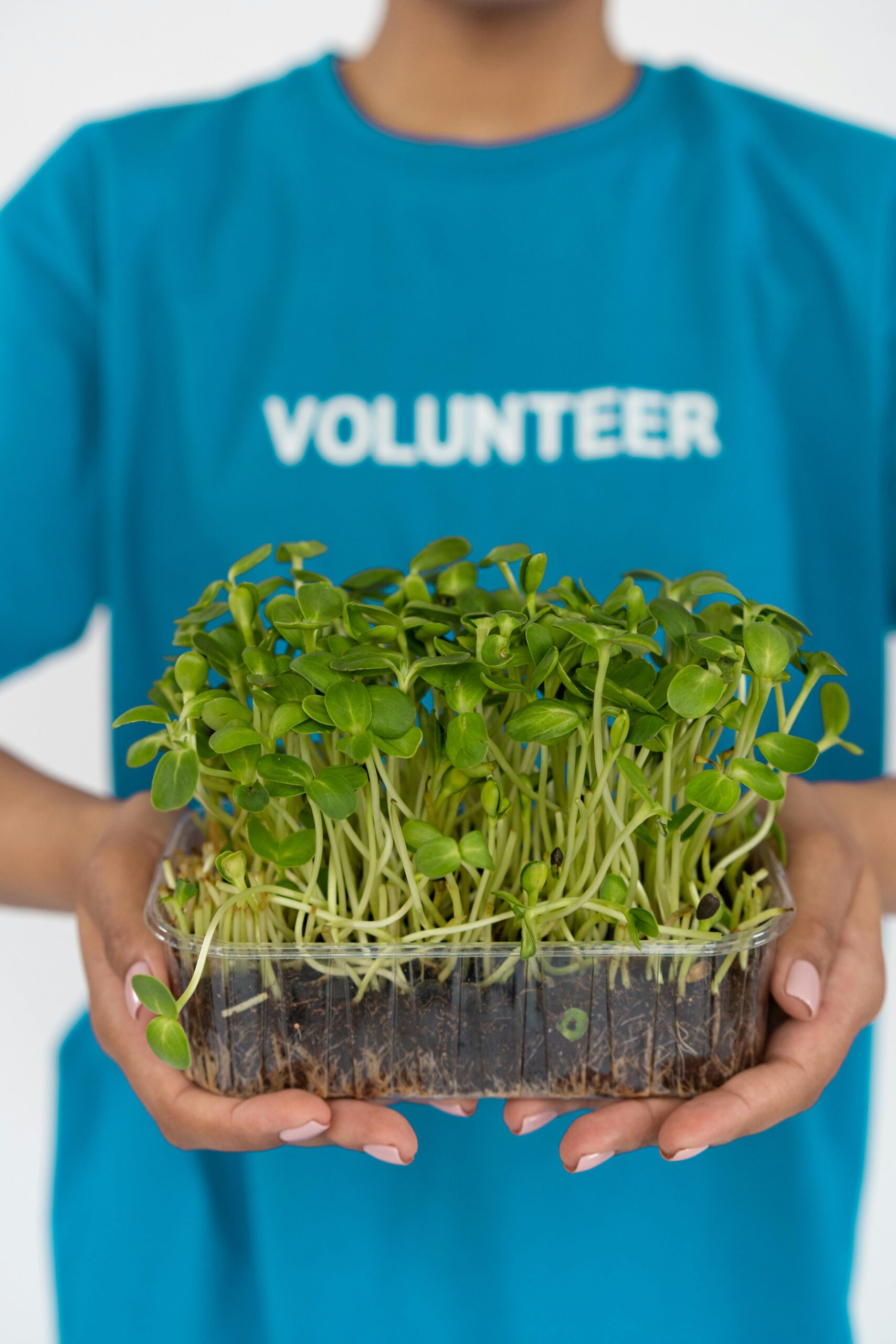 A volunteer holds a container of vibrant microgreens, symbolizing eco-friendly conservation efforts.